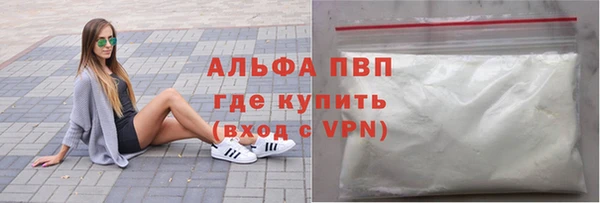 СК Новозыбков