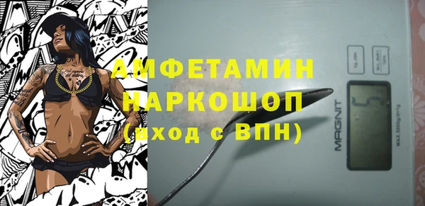 СК Новозыбков